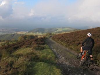 Eastridge woods in Shropshire