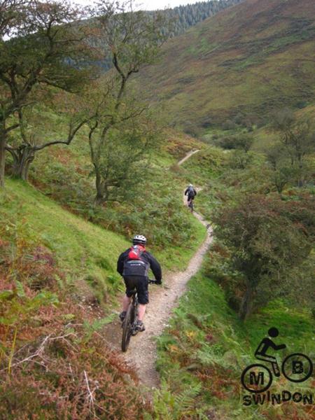 Minton Batch on Long Mynd