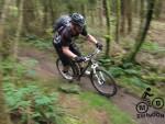 Hopton Woods mountain bike trail.