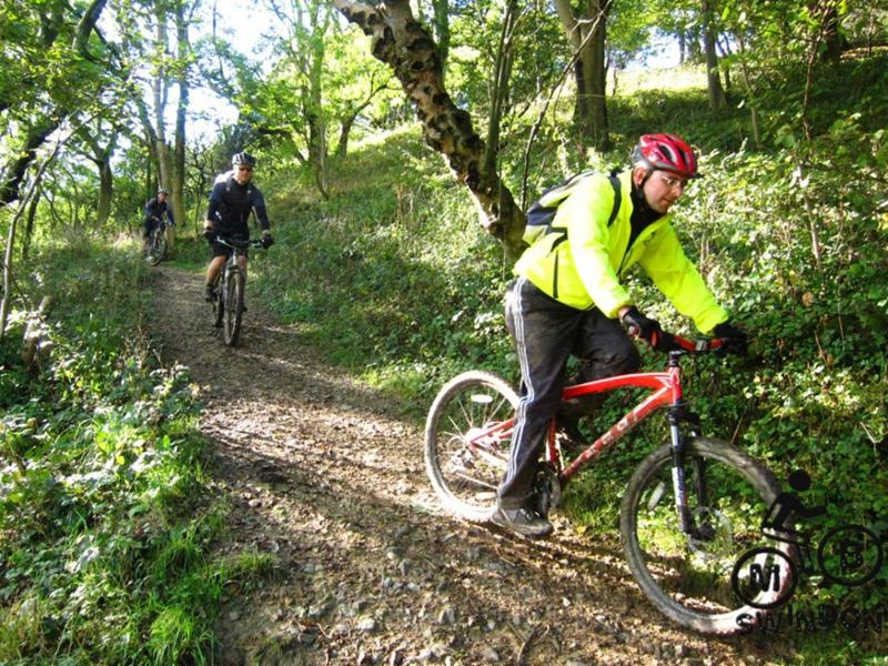 2012_10_06 Uley 323 Cam long down bike