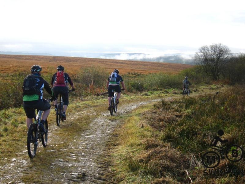 Mountain biking near Brechfa