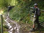 Steep climb near Brechfa.