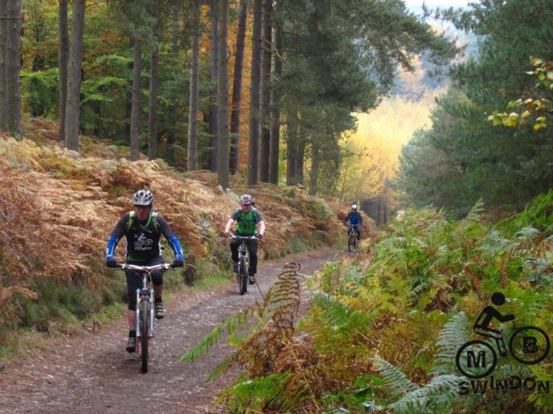 Climb at The Monkey Trail at Cannock Chase.