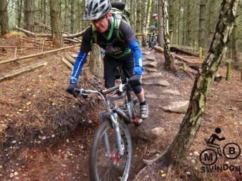 Riding steps at Cannock Chase.