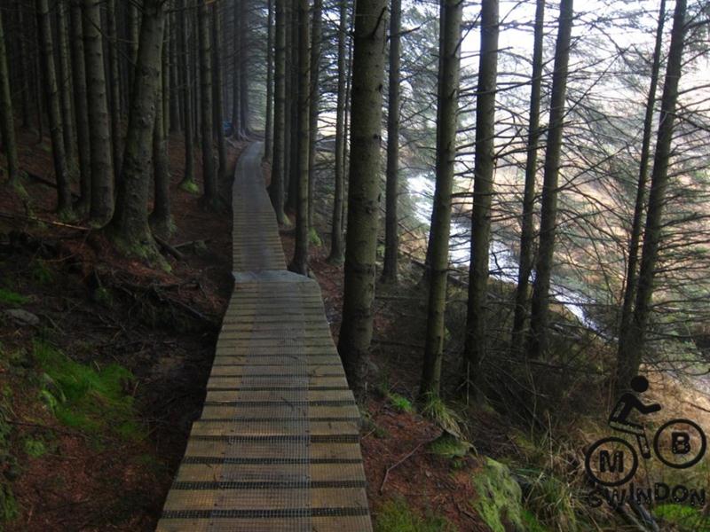 Raised wood on White's Level at Afan