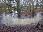 Water logged trail.