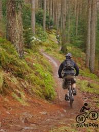 The Pink Heifer at Coedybrenin