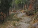 Blue climb at Brechfa trails.