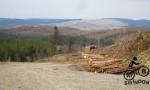 Big hill in Wales on Red Kite Devil's Challenge