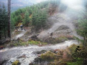 Whinlatter trail south loop