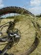 Grass in bike wheel