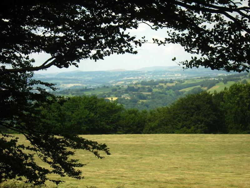 View of fields in south Wales.