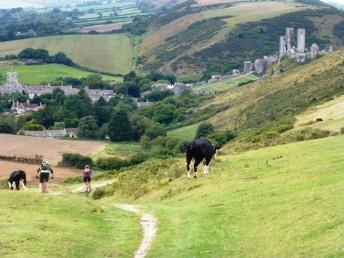 Purbeck-Day 2 Descent to Corfe (2)