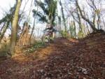 Standish quarry mtb