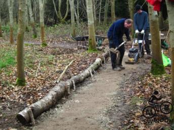 Mountain bike trail surfacing.