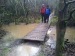 Mountain bike trail flood.