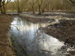 MTB Trail drainage work.