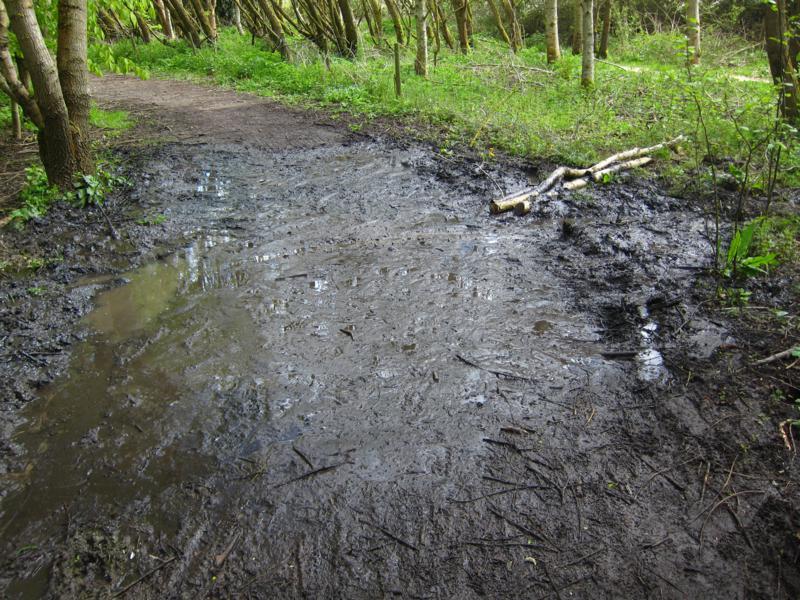 Drained puddle.