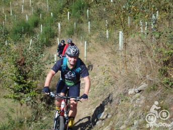 Cwmcarm2014_0014_Background