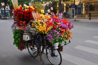 flower-bike