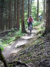 Ladies at Brechfa