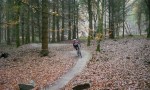 Ladies at Brechfa