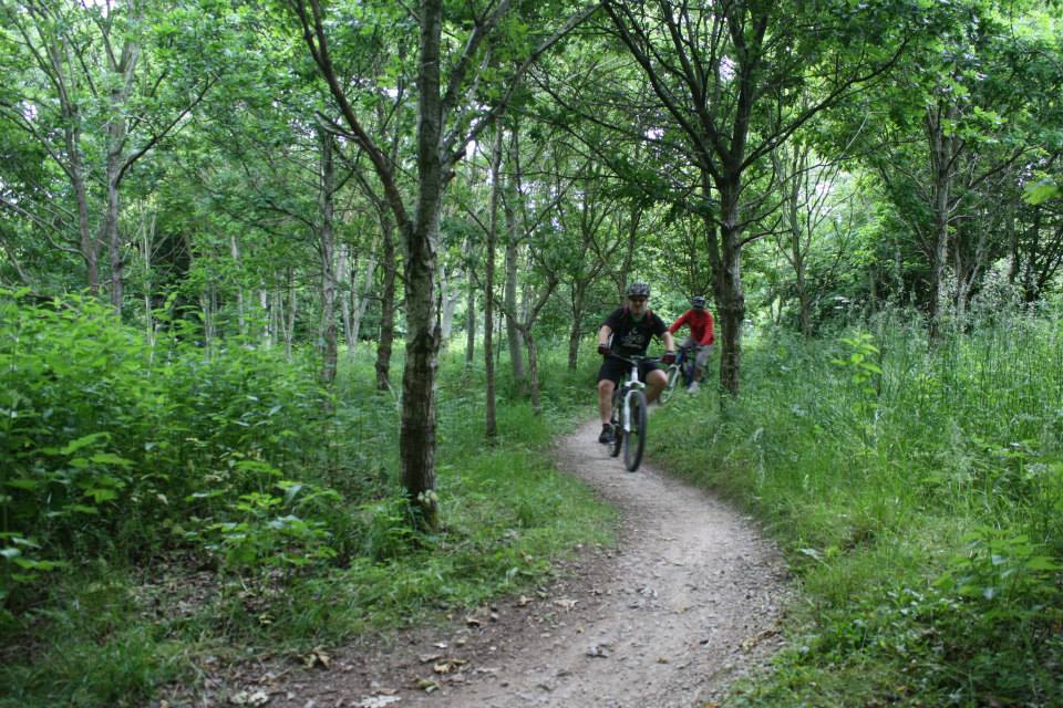 Friday Night at the Trail